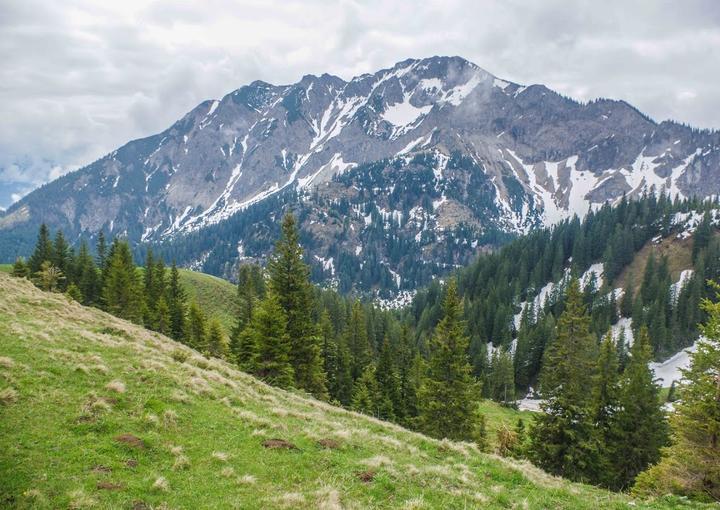 Hochalphütte